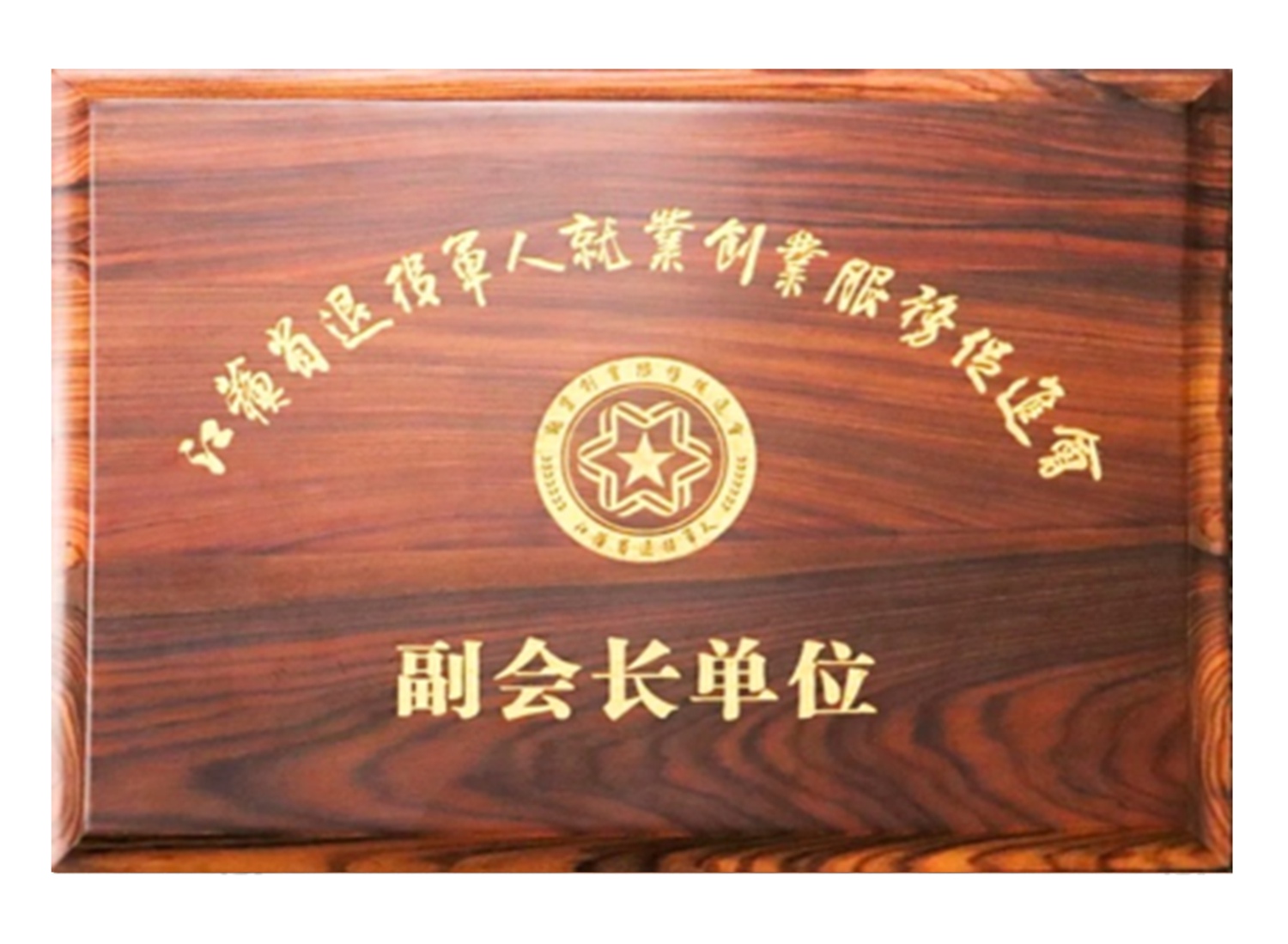 江蘇省退役軍人就業(yè)促進會副會長單位